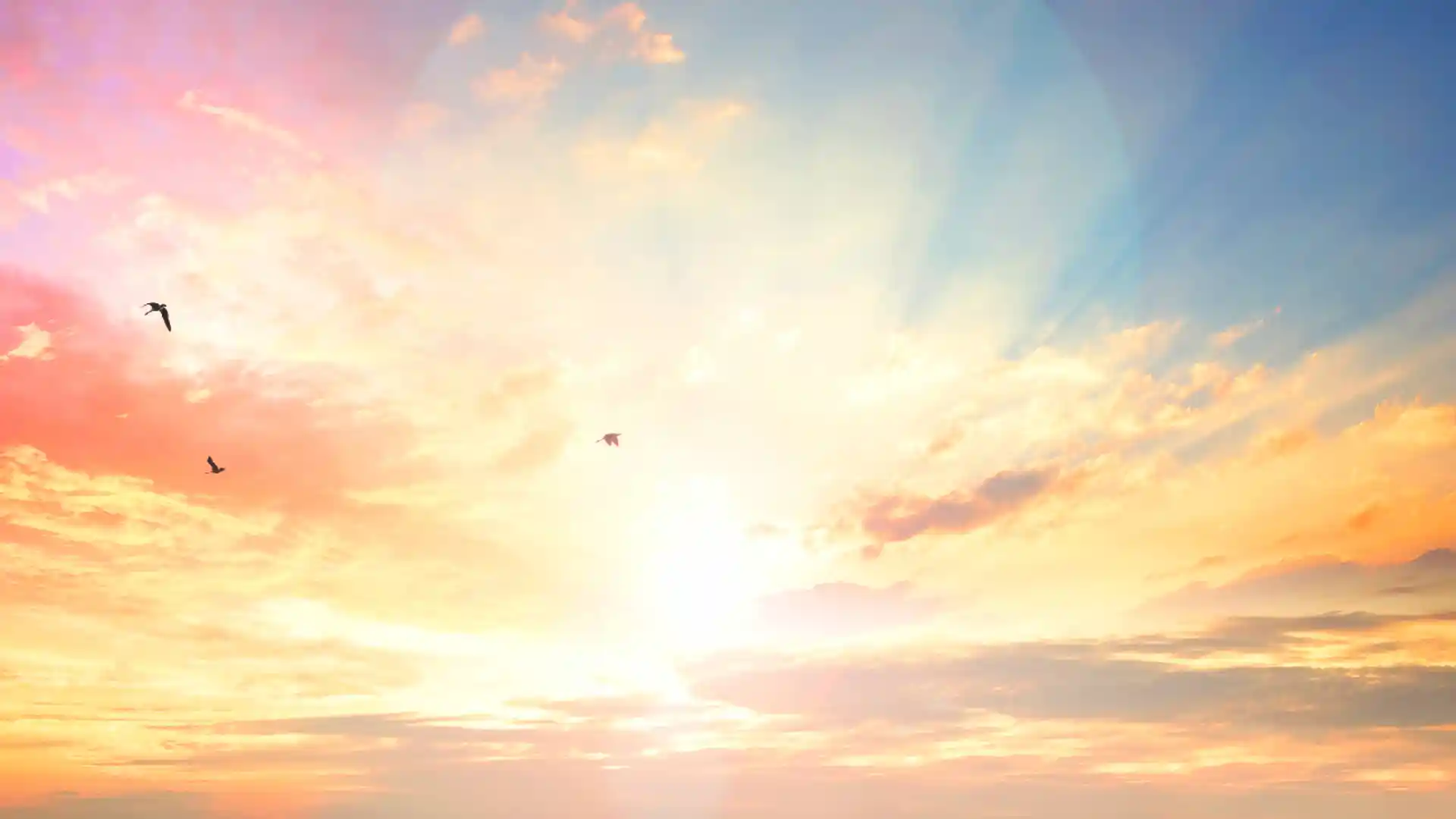 希望を連想させる朝焼けの写真