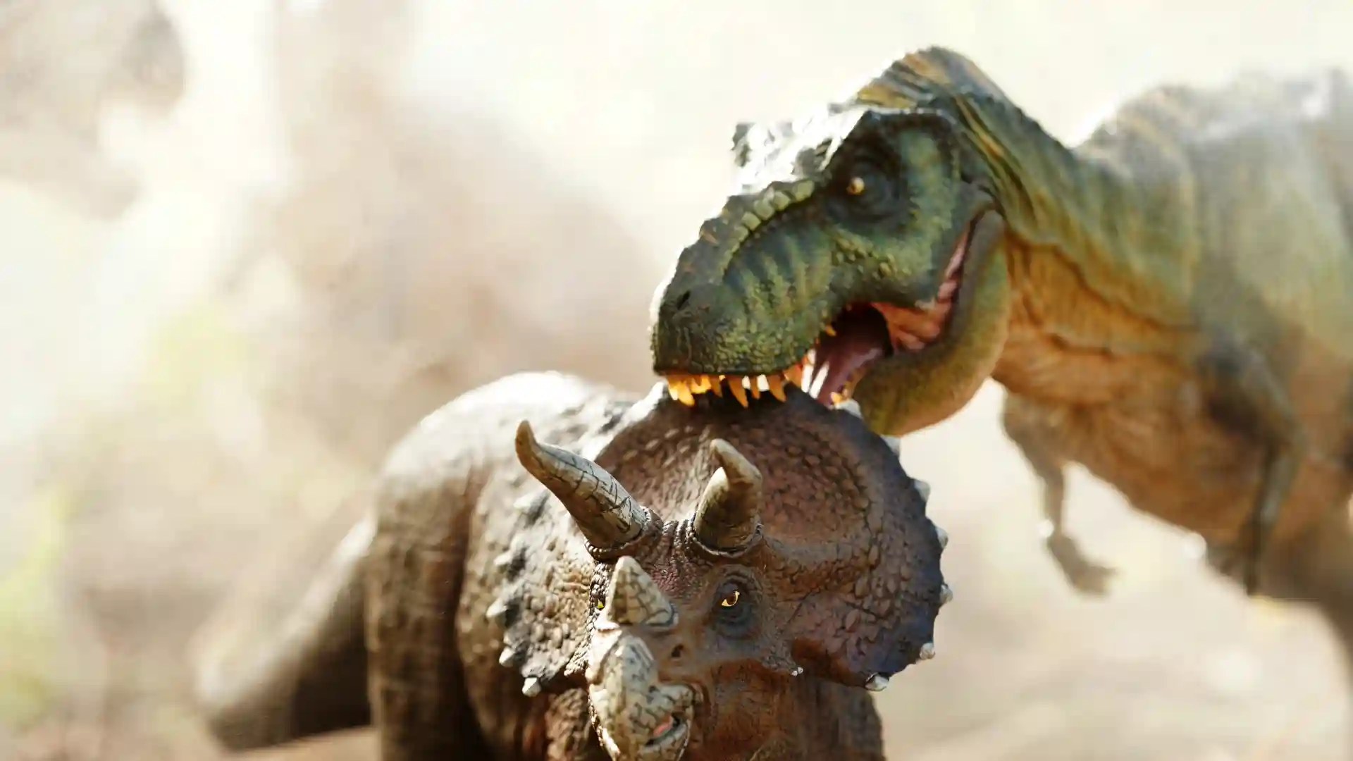 トリケラトプスとティラノサウルスが戦っている