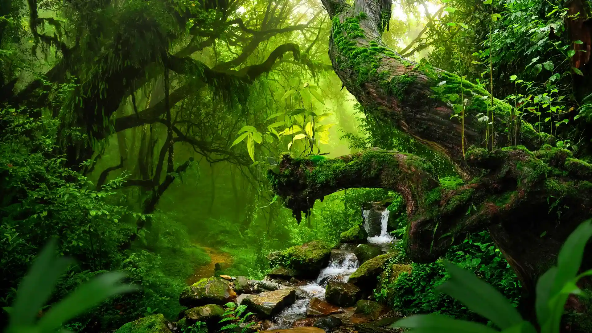 イスラ・ソルナ島をイメージした写真