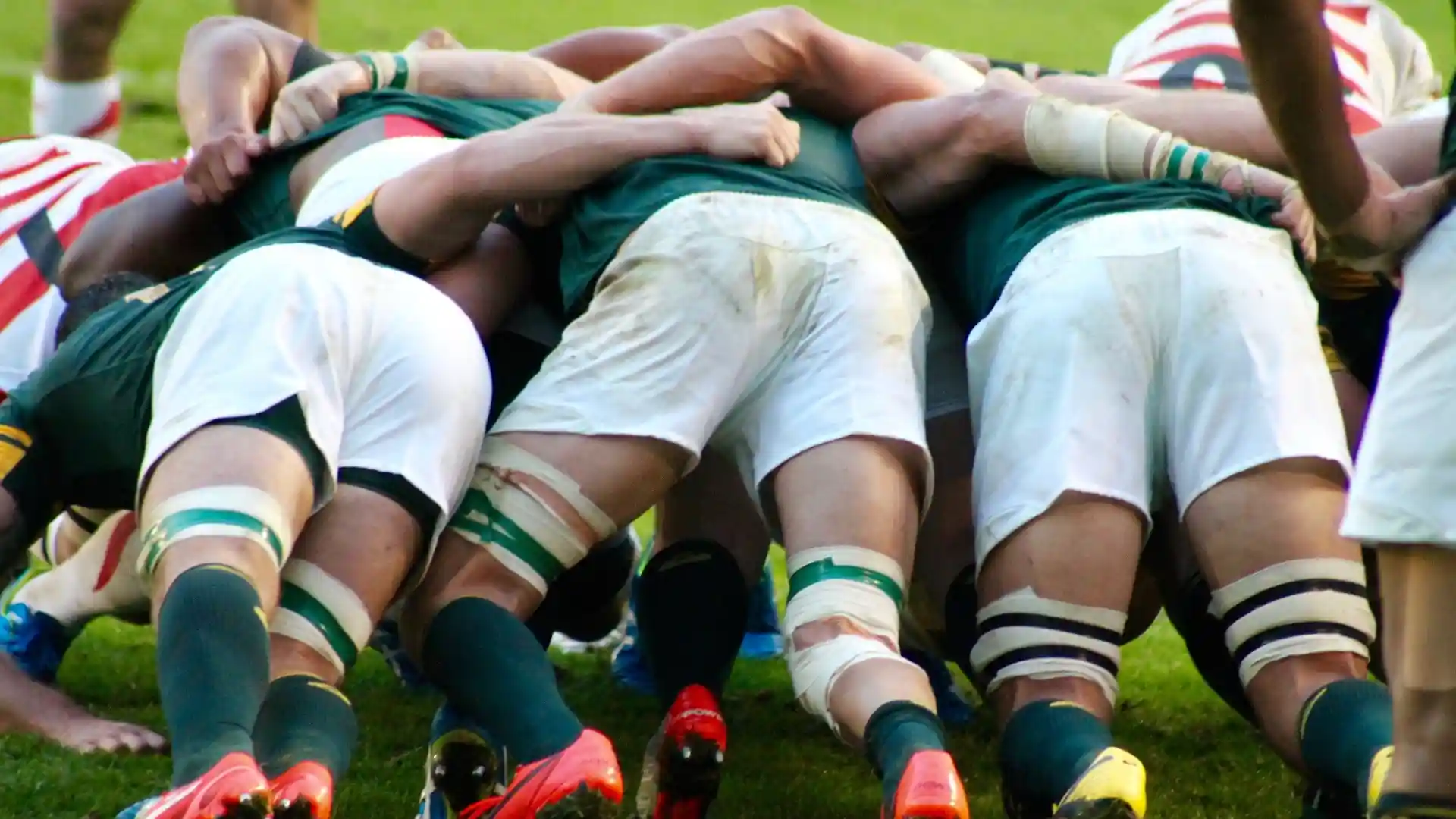 南アフリカのラグビー選手が試合でスクラムを組んでいる